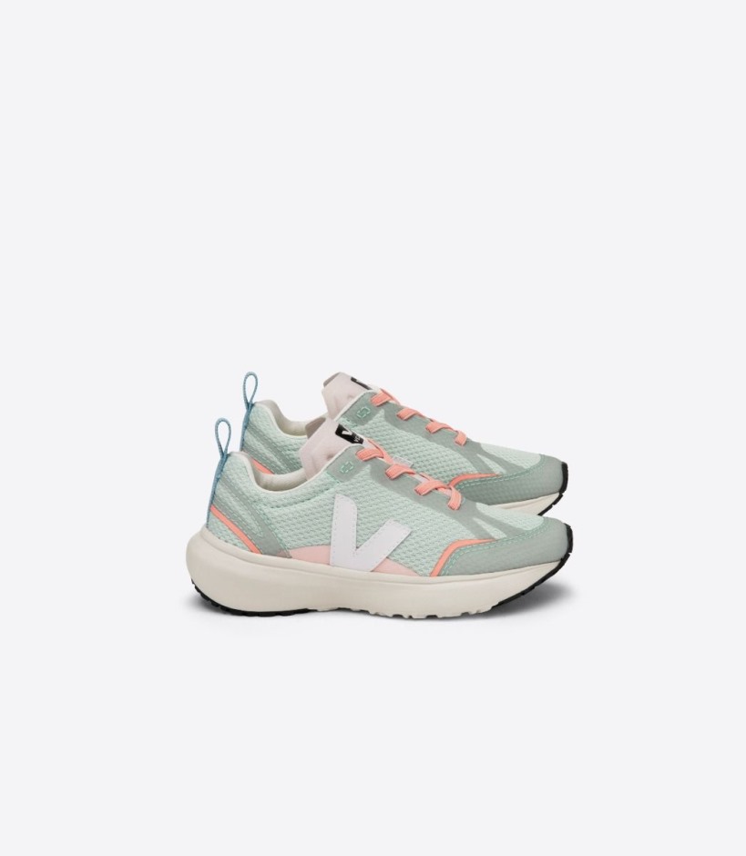 Spezielle Elastische Schnürsenkel Der Marke Veja Alveomesh Matcha White